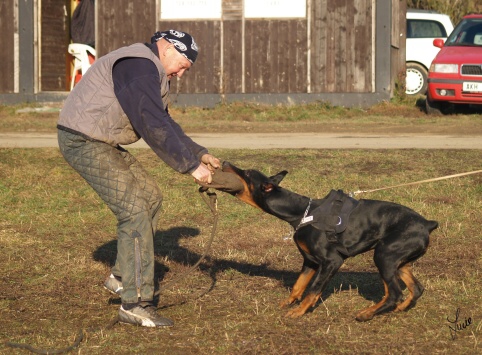 The christmas training 27.12.2006